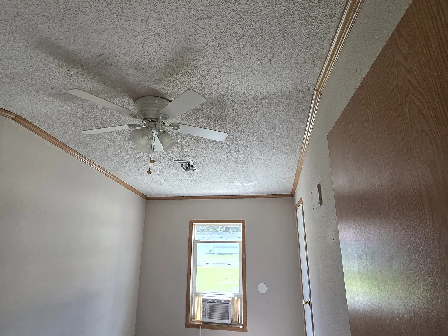 Southern Grace - 7R — Photo 3