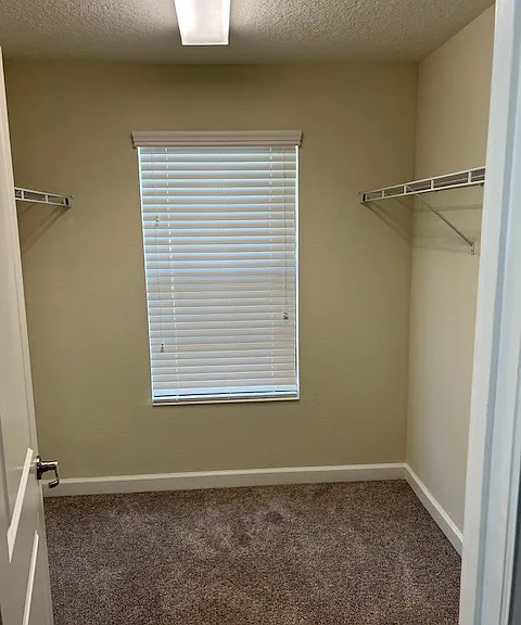 7779 Purple Finch St — Photo 40