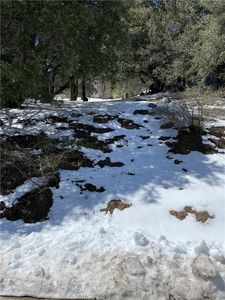 0 Wylerhorn Dr #74, Crestline, CA, 92325