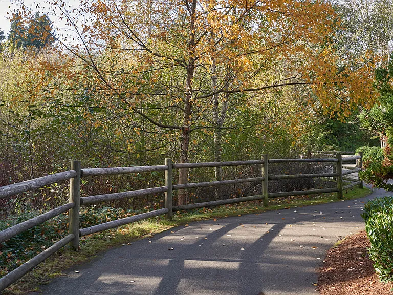 Explore the tree-lined paths throughout Mill Creek.