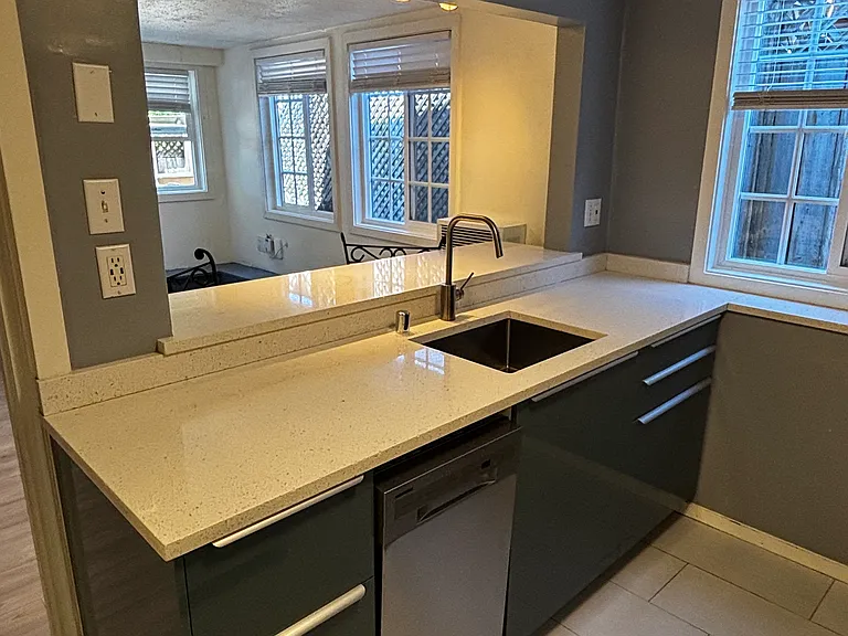 Drop sink with disposal, dishwasher, quartz counters, storage