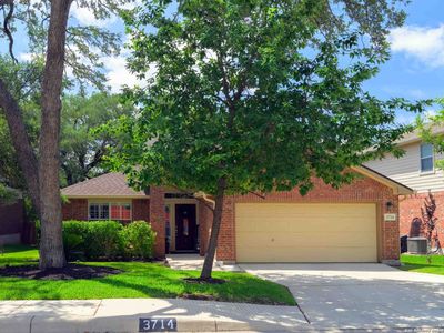 3714 Cotoneaster, San Antonio, TX, 78261