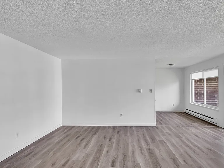 Living room plus dining room