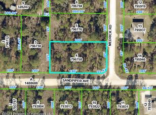 LOT 4 Sandpiper Ave, Brooksville, FL 34614