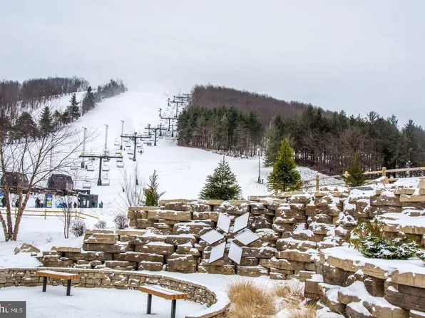 290 Marsh Hill Rd Unit 118A, Mc Henry, MD 21541