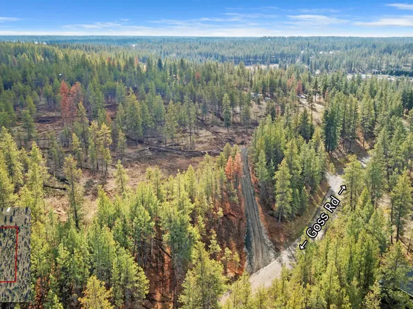 Tba S Goss Rd, Cheney, WA 99004