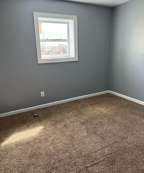 101 Swan Rd — Photo 5