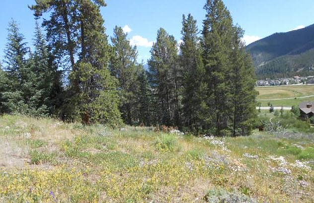 tress to the west