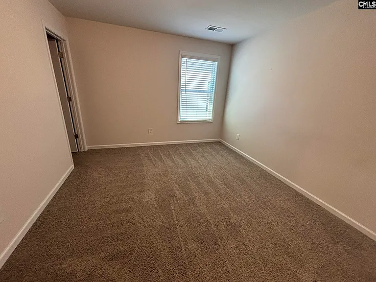 424 Lady Liberty Way — Photo 19