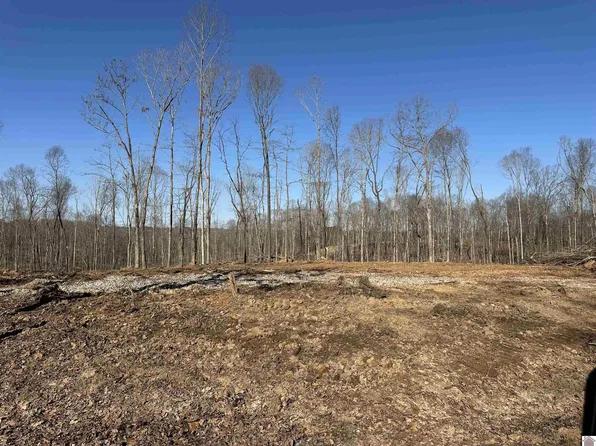 0 Beal Rd #3, Hardin, KY 42048