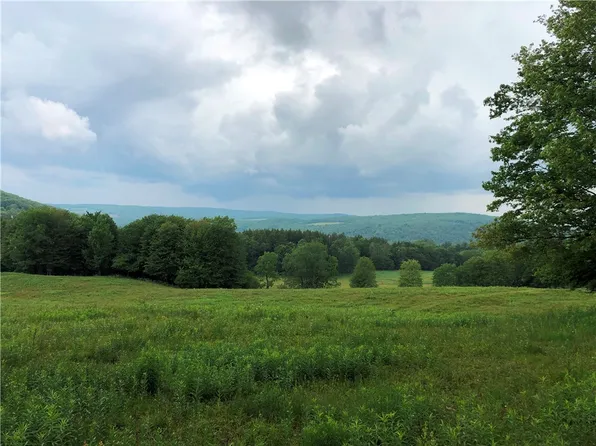 LOT 2.1 County Road 42 #2, South Otselic, NY 13155