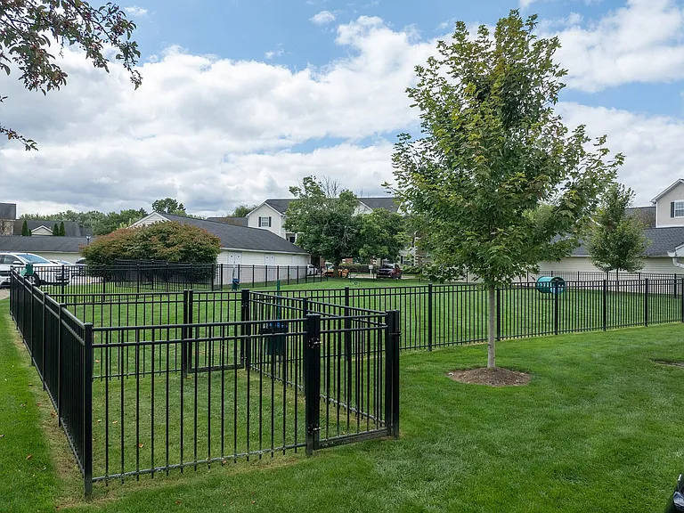 Bark Park