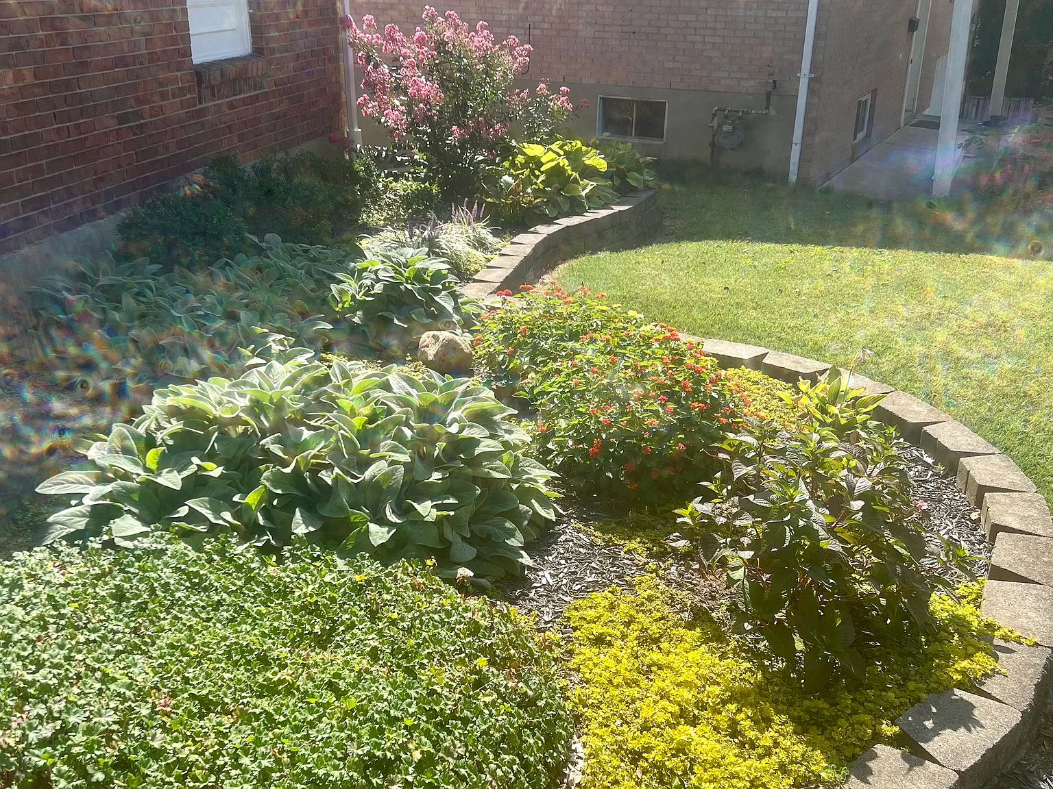 3 bed, 1300 sqft, $2,200 — Photo 3