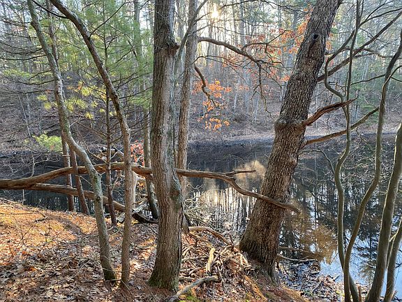 5th image of Mill Pond Rd