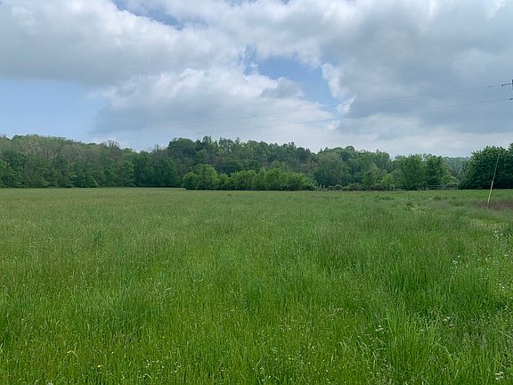 Beautiful open ground