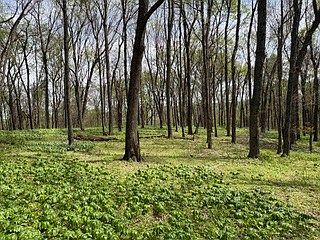 2nd image of 0 Center Star Rd