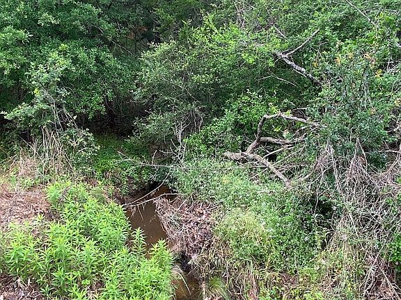 5th image of 887 Big Berry Rd