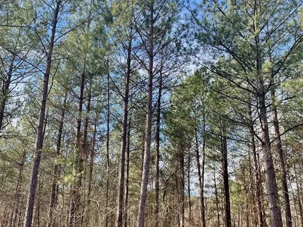 742 Timber Creek Trl, Broken Bow, OK 74728