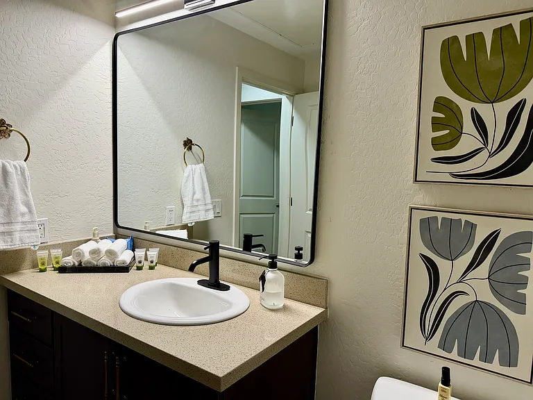 Full guest bathroom.