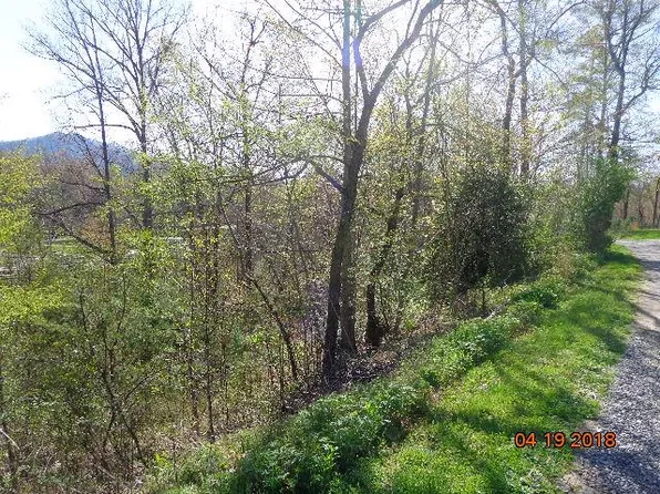 117 Flying Squirrel Rdg, Whittier, NC 28789