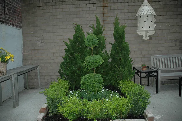 Rented by Anita Loewy, Inc | media 34