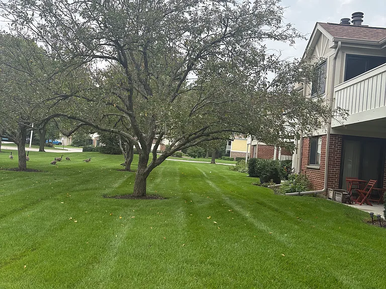 1056 Deerpath Ct — Photo 12