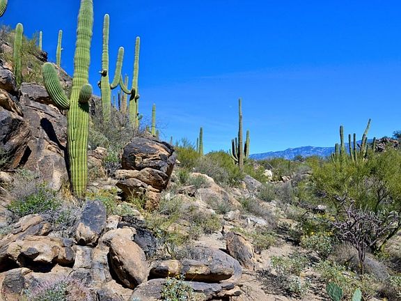 5th image of 1141 W Tortolita Mountain Cir