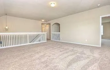 917 Swan Flower St — Photo 29