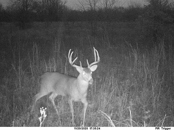 2nd image of 0 N 3875th Rd