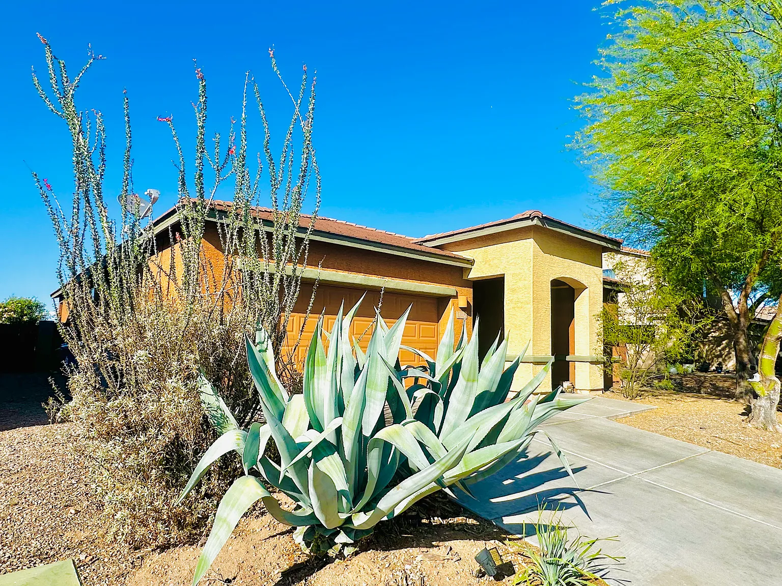 1145 E Madera Grove Ln — Photo 3