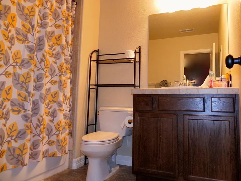 Basement bathroom