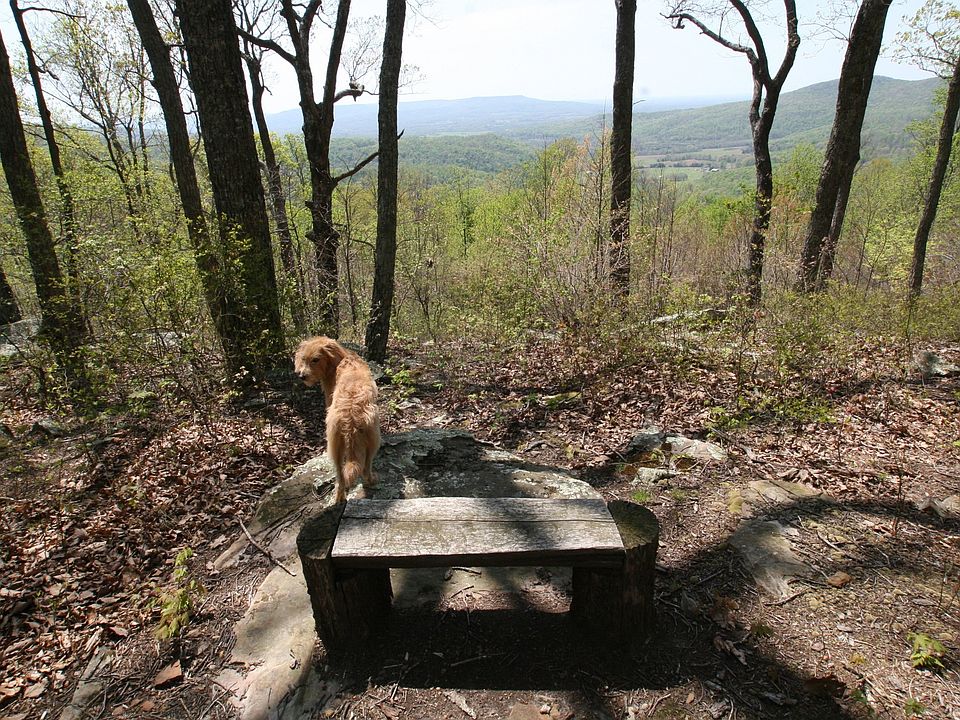 7th image of 7 Long Mountain Trl