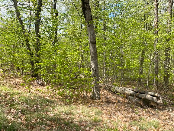 3rd image of 78 Shawnee Dr