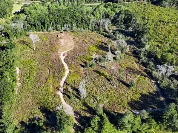 3518 Elamville St, Clio, AL 36017