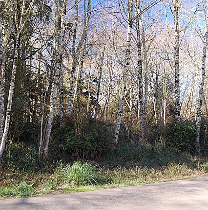 3rd image of 401 Duck Lake Dr NE