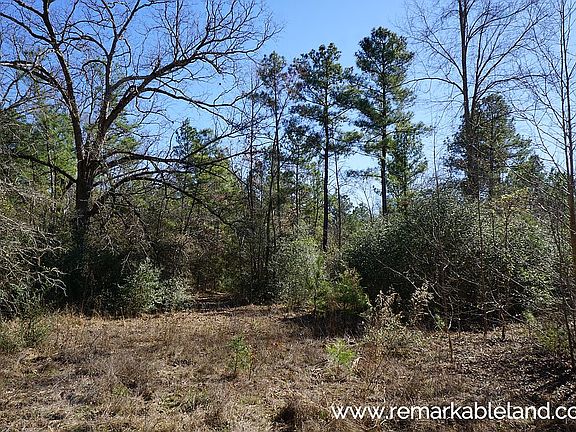 5th image of Apn 65873 Co Rd #3267