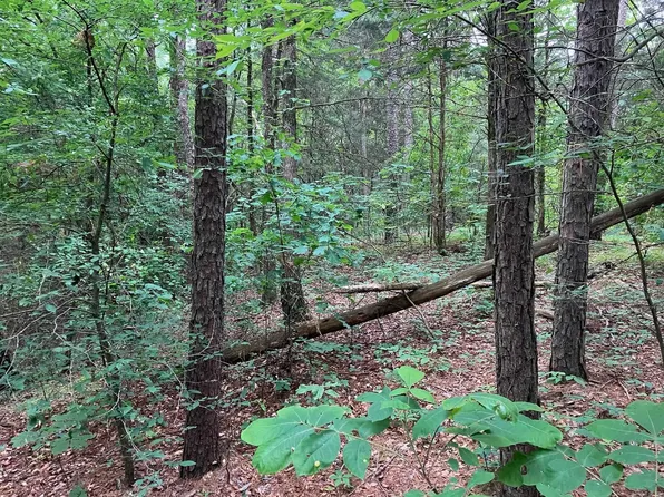 (undisclosed Address), Cleveland, AR 72030