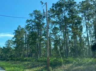 18 Wells Ave, Lehigh Acres, FL 33936