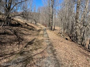 L1.13 Off Rossman Fly Road, Summit, NY 12175