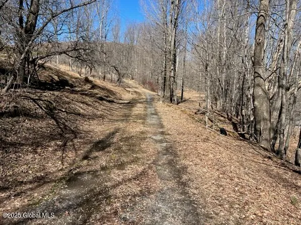 L1.13 Off Rossman Fly Road, Summit, NY 12175