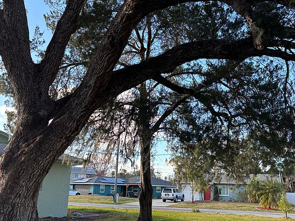 3rd image of 4515 Needle Palm Dr