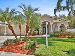 26066 Sawgrass Ct, Land O Lakes, FL 34639
