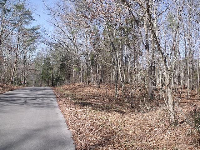 2nd image of LOT 54 County Road 147