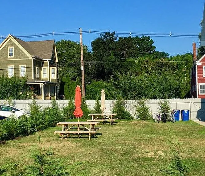 Shared Back Yard