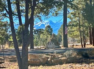 TBD Bear Cub Drive, Ridgway, CO 81432