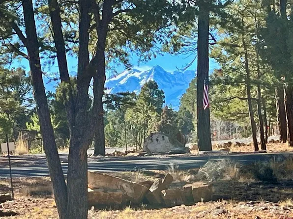 TBD Bear Cub Drive, Ridgway, CO 81432