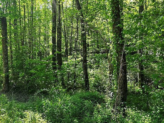 4th image of 00 Vincent Colvin Road