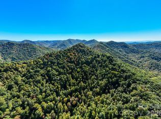 Tbd Big Laurel Rd, Marshall, NC 28753