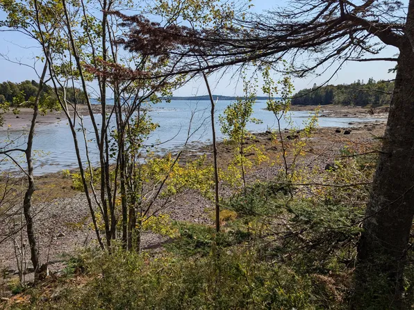 L1-1,2,3,4 Birch Point Road, Perry, ME 04667