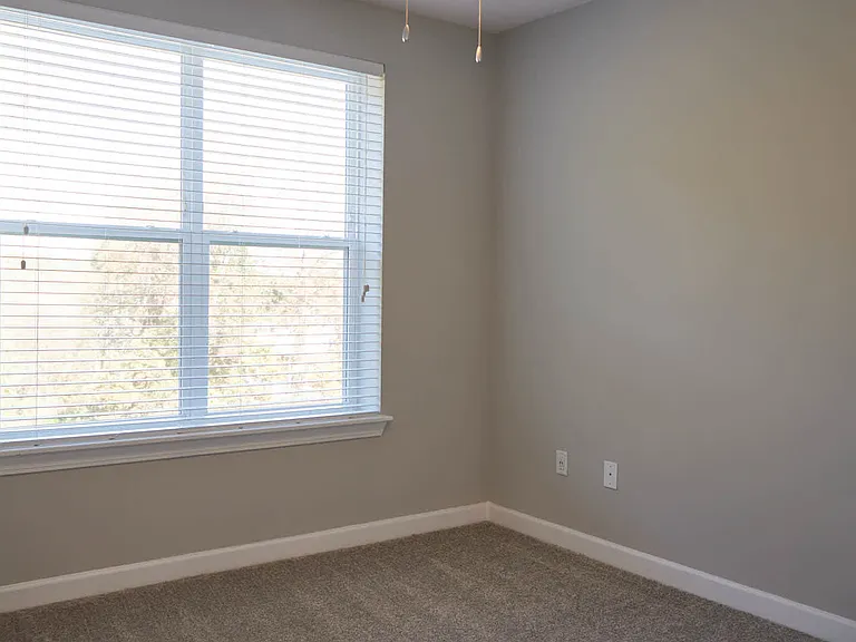Carpeted Bedroom